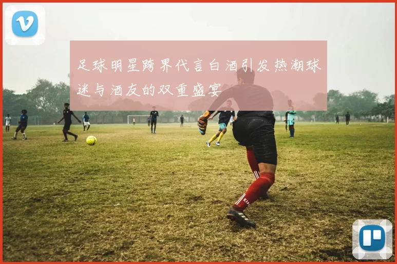 足球明星跨界代言白酒引发热潮球迷与酒友的双重盛宴