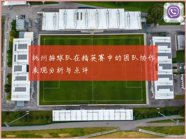 杭州排球队在精英赛中的团队协作表现分析与点评