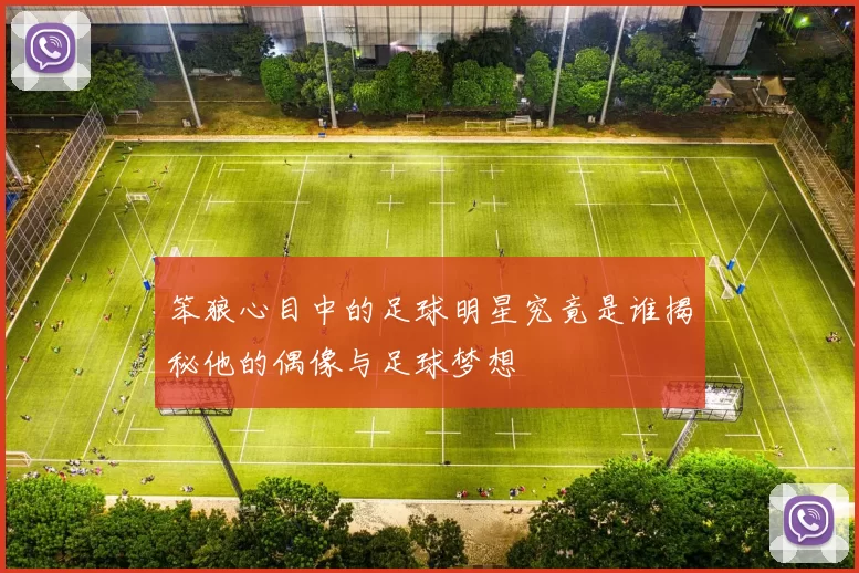 笨狼心目中的足球明星究竟是谁揭秘他的偶像与足球梦想