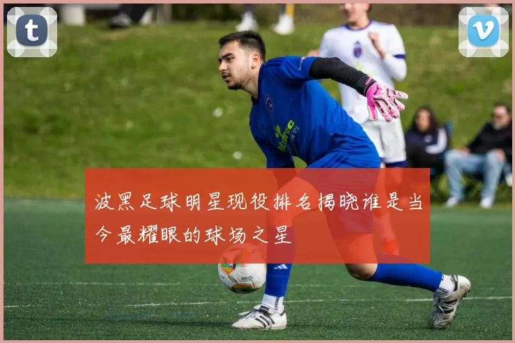 波黑足球明星现役排名揭晓谁是当今最耀眼的球场之星