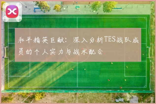 和平精英巨献：深入分析TES战队成员的个人实力与战术配合
