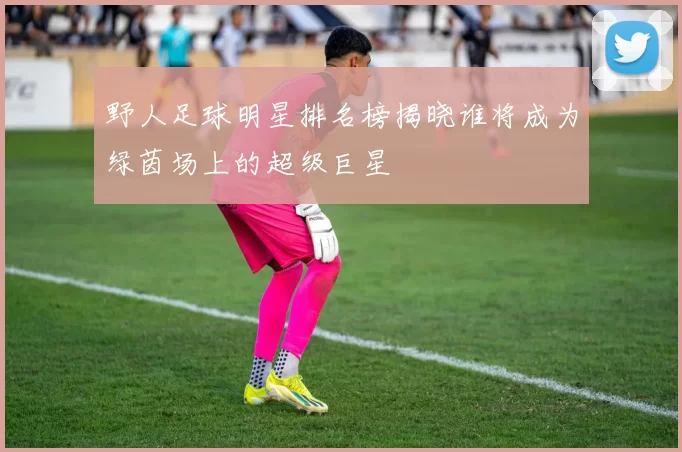 野人足球明星排名榜揭晓谁将成为绿茵场上的超级巨星