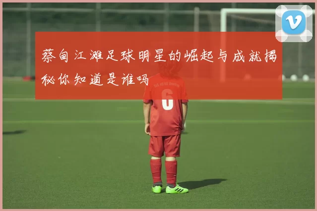 蔡甸江滩足球明星的崛起与成就揭秘你知道是谁吗