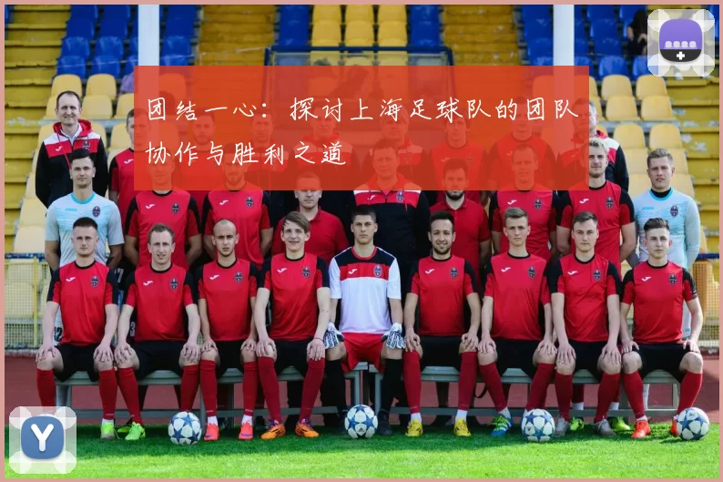 团结一心：探讨上海足球队的团队协作与胜利之道