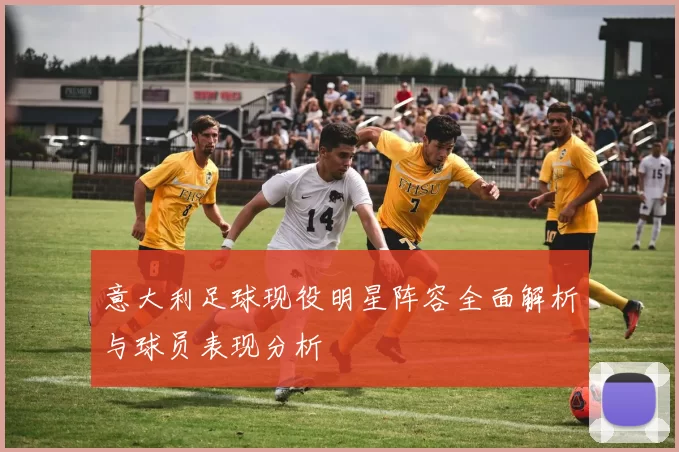 意大利足球现役明星阵容全面解析与球员表现分析