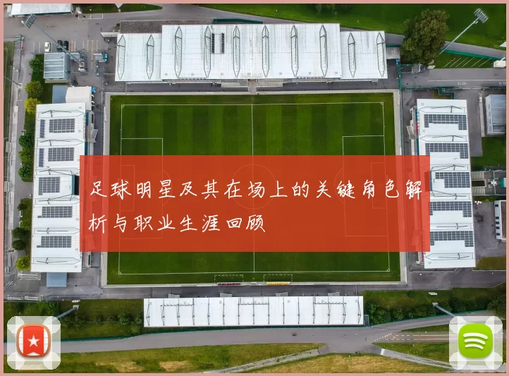 足球明星及其在场上的关键角色解析与职业生涯回顾