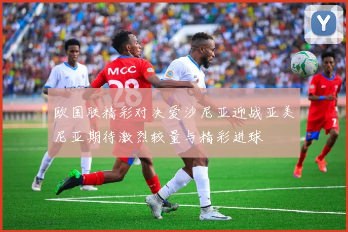 欧国联精彩对决爱沙尼亚迎战亚美尼亚期待激烈较量与精彩进球