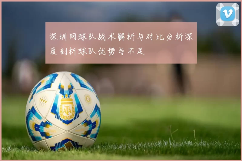 深圳网球队战术解析与对比分析深度剖析球队优势与不足