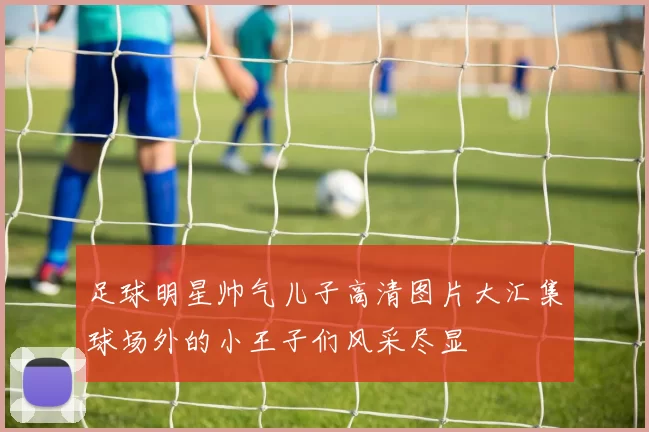 足球明星帅气儿子高清图片大汇集球场外的小王子们风采尽显