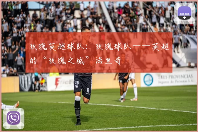 玫瑰英超球队：玫瑰球队——英超的“玫瑰之城”诺里奇