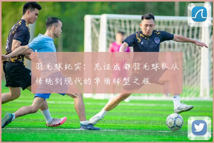 羽毛球纪实：见证成都羽毛球队从传统到现代的华丽转型之旅