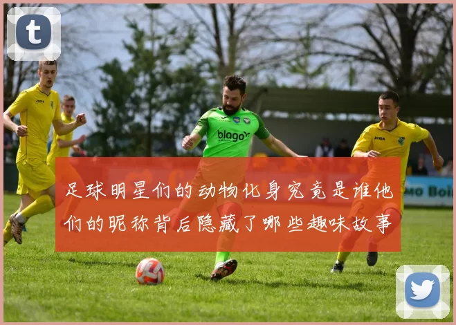 足球明星们的动物化身究竟是谁他们的昵称背后隐藏了哪些趣味故事