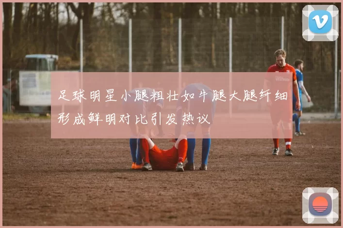 足球明星小腿粗壮如牛腿大腿纤细形成鲜明对比引发热议