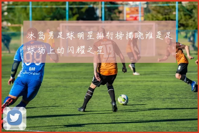 冰岛男足球明星排行榜揭晓谁是足球场上的闪耀之星
