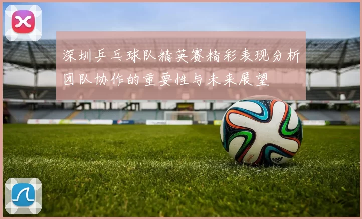 深圳乒乓球队精英赛精彩表现分析团队协作的重要性与未来展望
