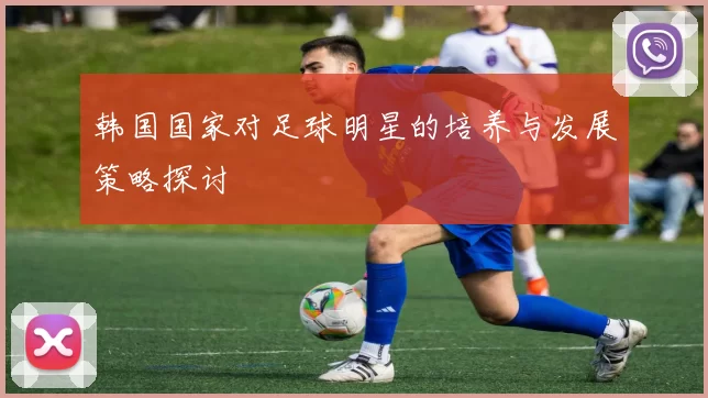 韩国国家对足球明星的培养与发展策略探讨