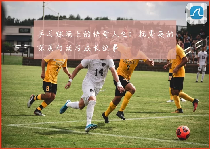 乒乓球场上的传奇人生：杨秀英的深度对话与成长故事