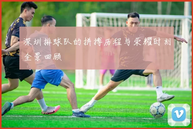 深圳排球队的拼搏历程与荣耀时刻全景回顾