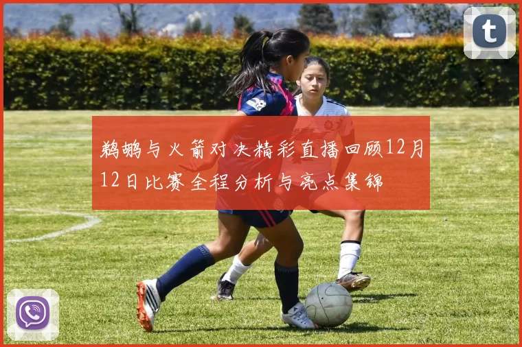 鹈鹕与火箭对决精彩直播回顾12月12日比赛全程分析与亮点集锦